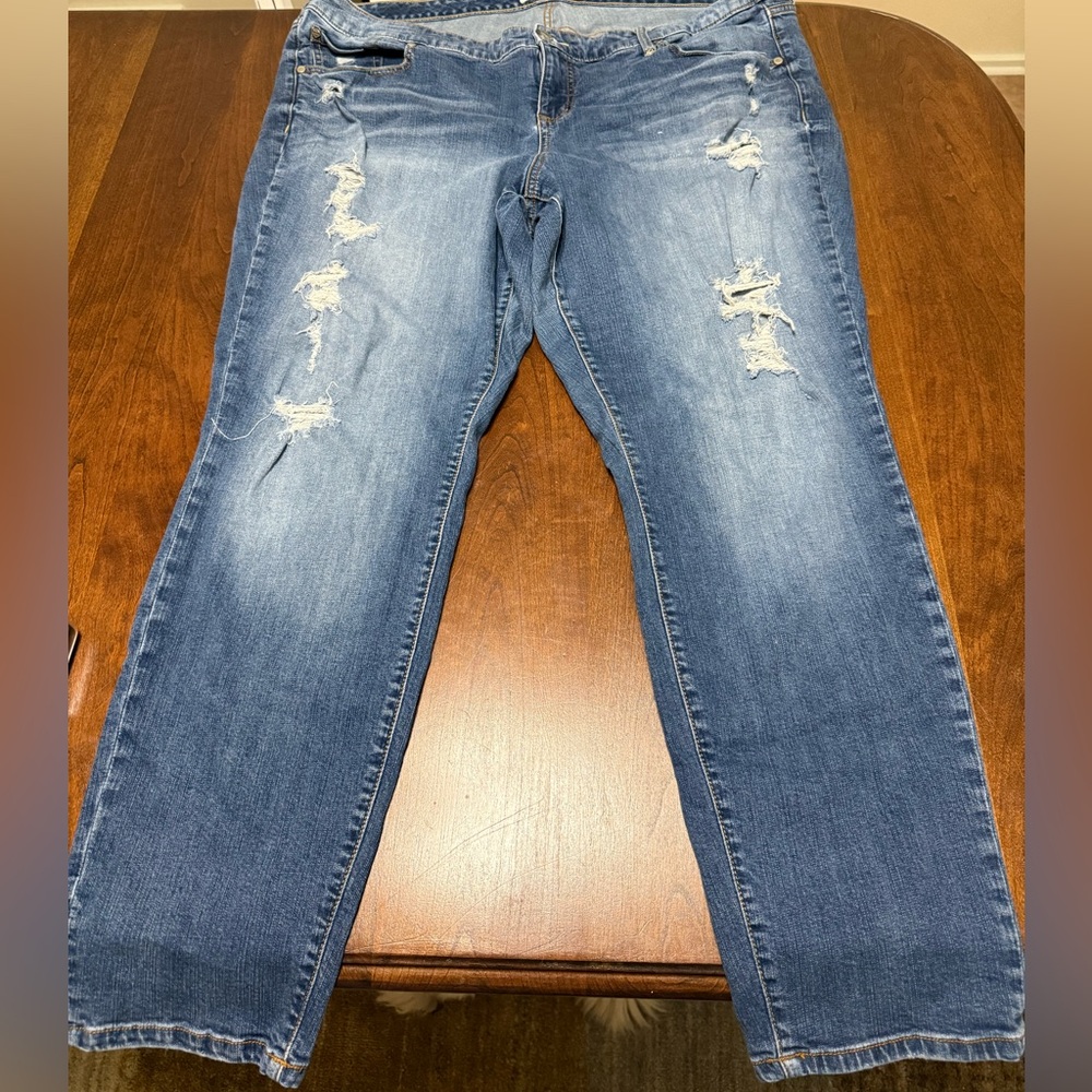Torrid plus woman’s (22)